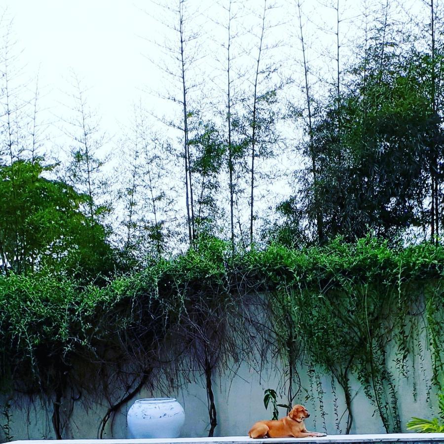 Orchid 18m Pool, Sea View Nusa Lembongan